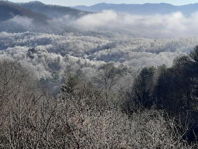 Hoar Frost