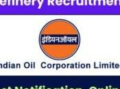 IOCL Apprentice Various Post Merit List 2023