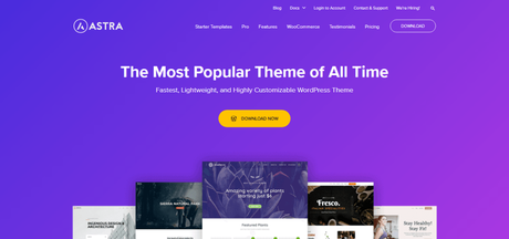 5 Best Premium WordPress Themes in 2024 (Expert Picks)