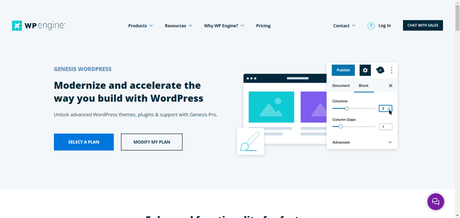 5 Best Premium WordPress Themes in 2024 (Expert Picks)