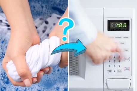 Can You Dry Clothes In A Microwave?  