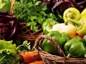 Best Vegetables Grow Beginner Gardening