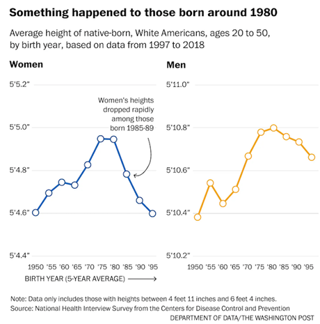 Americans Are Shorter, Fatter, And Have Less Longetivity