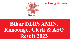Bihar DLRS AMIN, Kanoongo, Clerk & ASO Result 2023