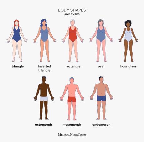 The Different Body Types