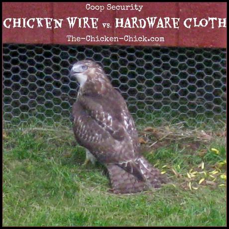 What Is Hardware Cloth?  