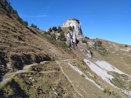 Guide to Schynige Platte, Switzerland