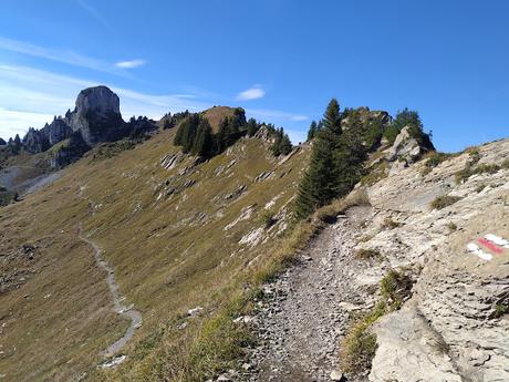 Guide to Schynige Platte, Switzerland