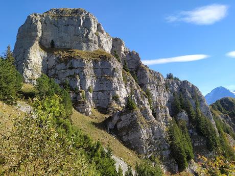 Guide to Schynige Platte, Switzerland