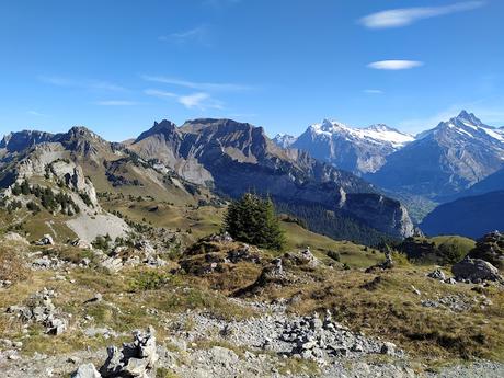 Guide to Schynige Platte, Switzerland