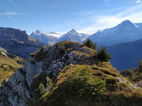 Guide to Schynige Platte, Switzerland