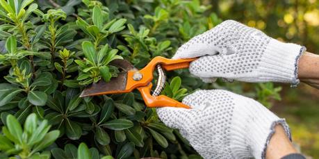 13 Easy Garden Maintenance Tips To Get You Started