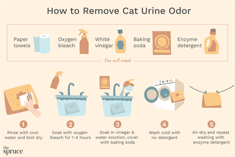 How Do You Get Urine Smell Out Of Clothes?  