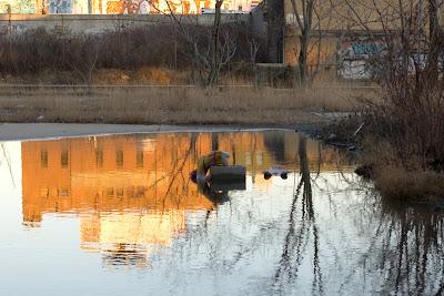 Dead and abandoned, cloth wrestler dolls