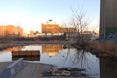 Dead and abandoned, cloth wrestler dolls