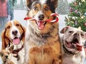 Pups Alone (2021) Movie Review