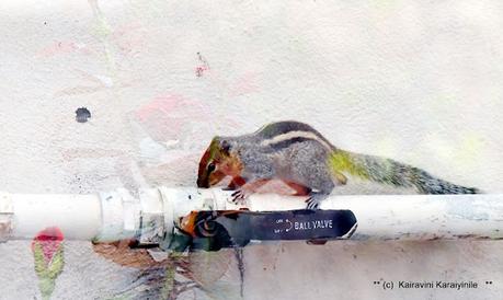 Double - exposure - by design, not accidental !! Double - exposure - by design, not accidental !!