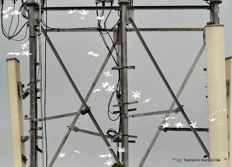 Double - exposure - by design, not accidental !! Double - exposure - by design, not accidental !!