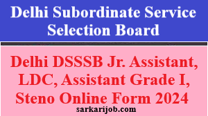 DSSSB Jr. Assistant, LDC, Assistant Grade I Online Form 2024