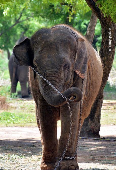 Chains n Shackles !! Chains n Shackles !!