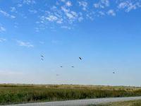 Visiting Bitter Lake National Wildlife Refuge Bitter Lake National Wildlife Refuge