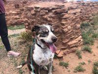 Drax At Salinas Pueblo Missions