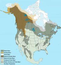 Black and Brown Bear Identification Guide Habitat map for North American bears from https://geology.com/stories/13/bear-areas/