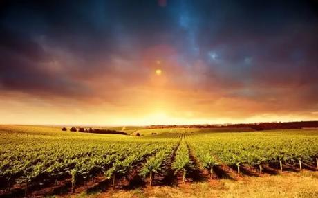 best time to visit Barossa valley