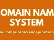 Domain Name System It’s Distribution