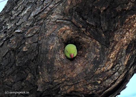 living in a darkhole ! - there is always hope !! living in a darkhole ! - there is always hope !!