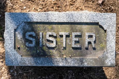 200+ Miss You my Dear Sister Messages and Quotes 🌸