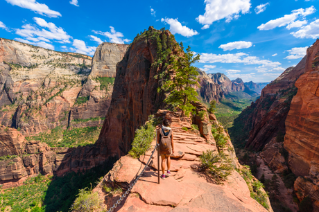The Best Hikes in Zion National Park