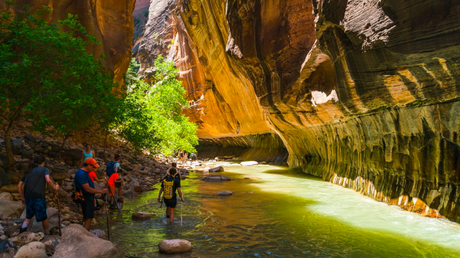 Hikers in the Narrows, Zion National park 