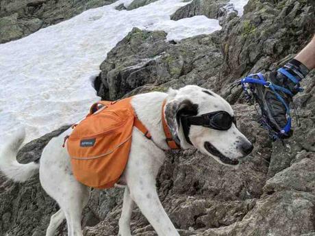 Tour du Mont Blanc: Insights for Hikers Tour du Mont Blanc: Insights for Hikers