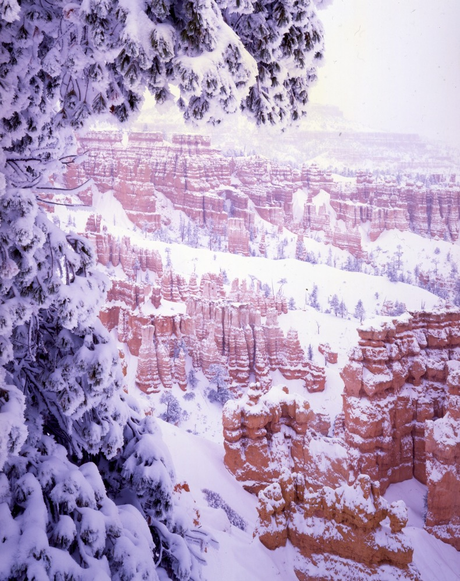 A Complete Hiking Guide to Bryce Canyon A Complete Hiking Guide to Bryce Canyon