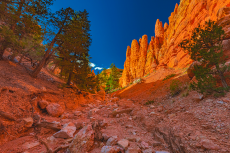 A Complete Hiking Guide to Bryce Canyon Fairyland Loop Trail