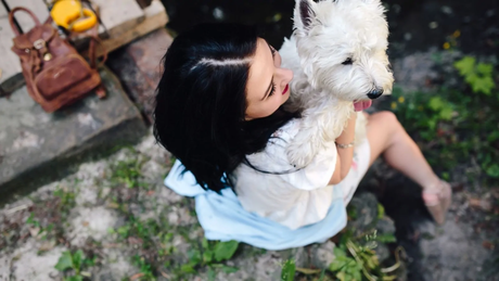 Lisa S Life One Girl and Her Dog and Their Blog