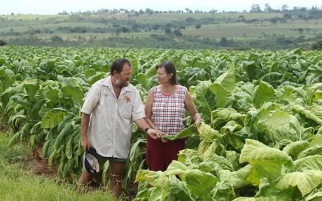 White farmers in Zimbabwe live and die with the toxic legacy of Mugabe’s brutal land grab