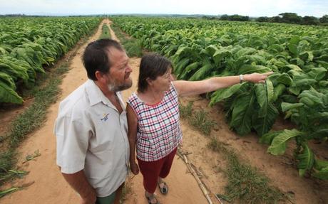 White farmers in Zimbabwe live and die with the toxic legacy of Mugabe’s brutal land grab
