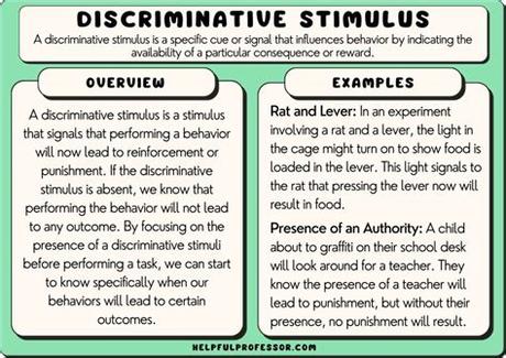 Discriminative Stimulus Example