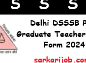 Delhi DSSSB Post Graduate Teacher Online Form 2024