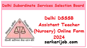 Delhi DSSSB Assistant Teacher (Nursery) Online Form 2024