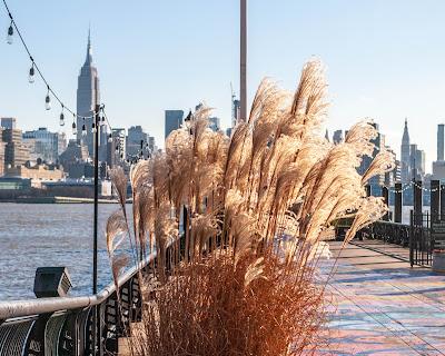 Let's get closer, and closer