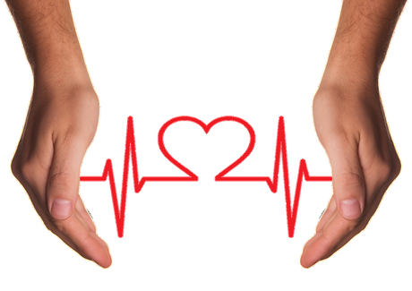 Plexus Review: What is the Reason for the Downfall of Plexus Worldwide? Plexus Review: What is the Reason for the Downfall of Plexus Worldwide?