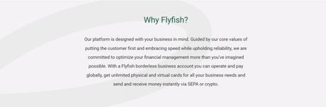 Flyfish Review – Corporate Payroll Services that Businesses can benefit from