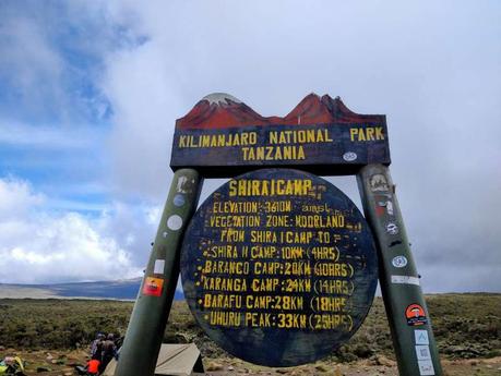 Kilimanjaro’s Lemosho Route 8 Days: What It’s Really Like Day by Day