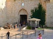 City Jerusalem: Golden Gate Lions' Herod's Damascus Gate. (video)