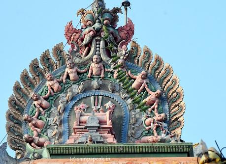 Did you notice the green Parrots at first sight ! ? ! Did you notice the green Parrots at first sight ! ? !