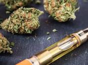 Flower Vape 101: Everything Need Know