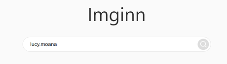 Imginn: A Comprehensive Guide for Downloading Content and Anonymous Story Viewing 91 Imginn: A Comprehensive Guide for Downloading Content and Anonymous Story Viewing